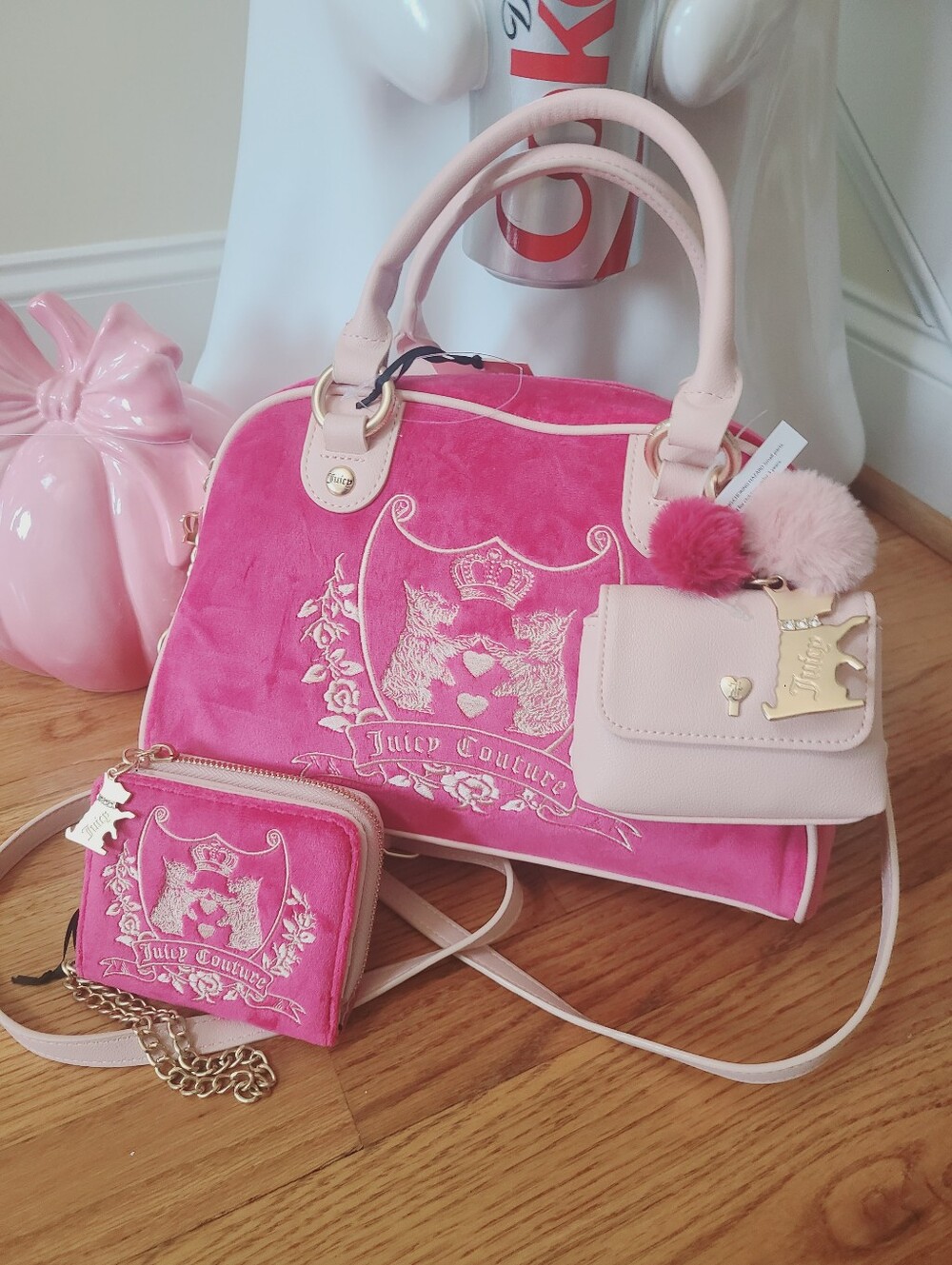 Juicy Couture Bag & Wallet 💗